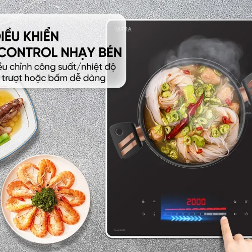 Bếp điện từ đôi SUNHOUSE SHB589 với bảng điều khiển và món ăn minh họa