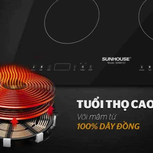 Mâm từ dây đồng của bếp điện từ đôi SUNHOUSE SHB9101