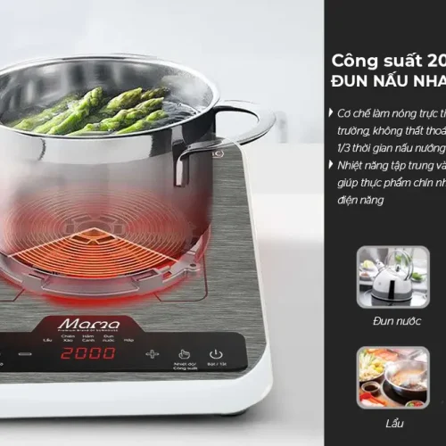 Minh họa vùng nấu công suất 2000W của bếp từ đơn SUNHOUSE SHD6856