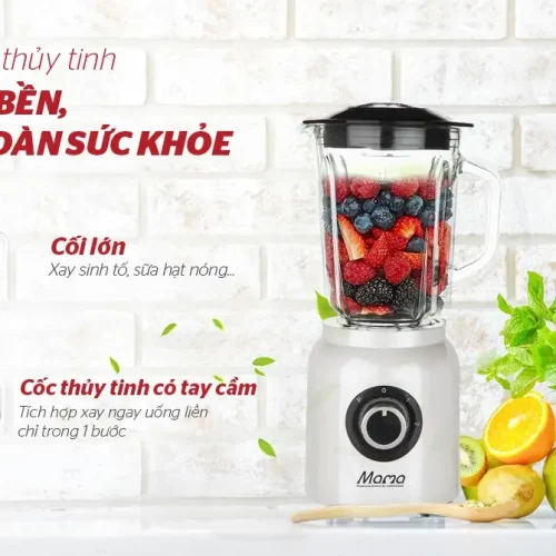 Máy xay sinh tố SUNHOUSE SHD5353W 700W với cối thủy tinh