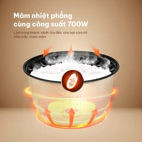 Nồi cơm điện Comet CM8015